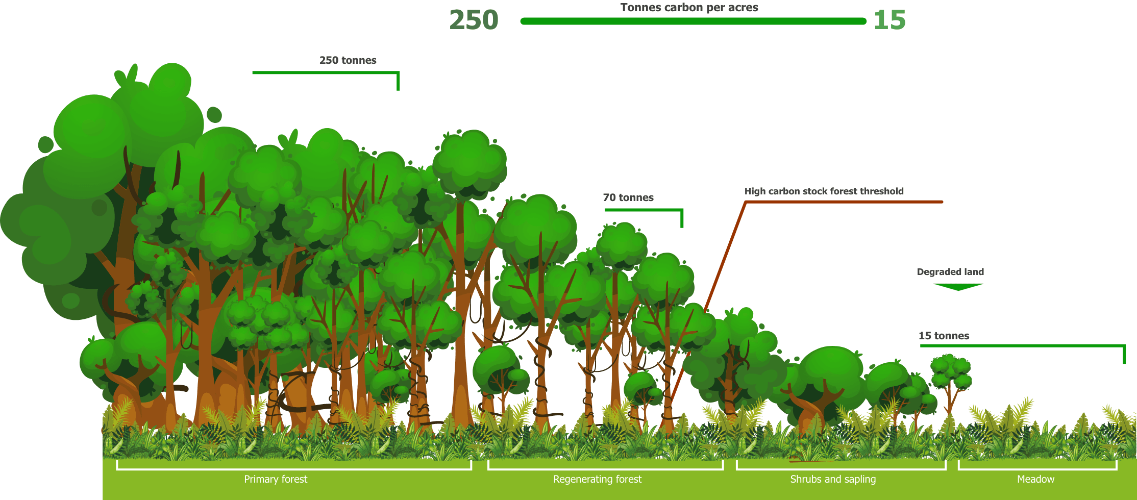 conservation