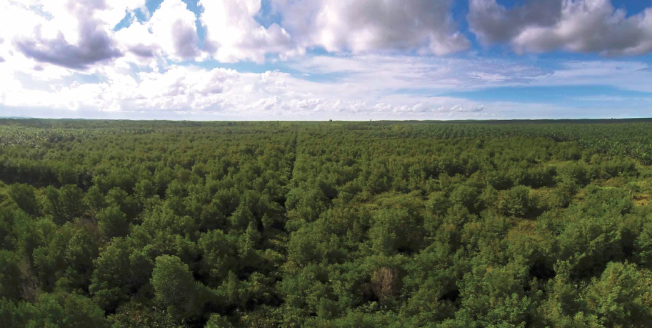 Sinarmas involves the community in conservation efforts