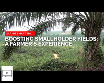 Vlog : Boosting smallholder yields – a farmer’s experience