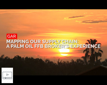 Video : Mapping our supply chain – a palm oil FFB broker’s experience