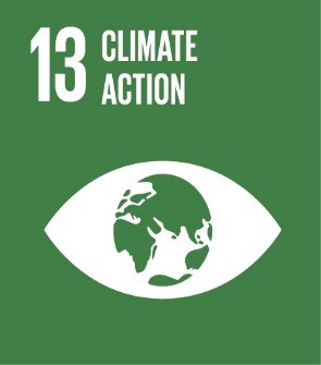 Ahead of the Sustainable Development Goals – 1
