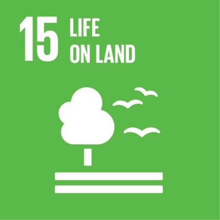 Ahead of the Sustainable Development Goals – 3