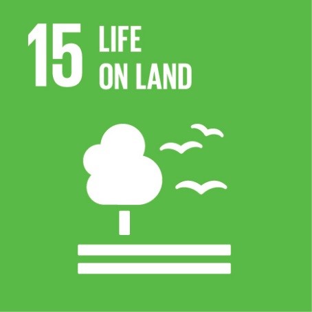 Ahead of the Sustainable Development Goals – 4