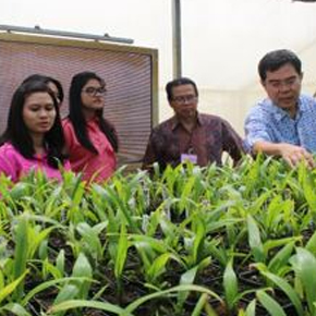 Inspiring Indonesia’s future business leaders at the SMART Biotechnology Centre