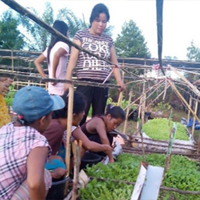Helping communities be self-sufficient while minimising fire – 2