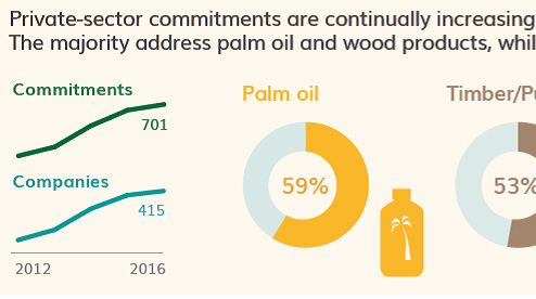 New York Declaration on Forests report shows palm oil sector taking the most action against deforestation