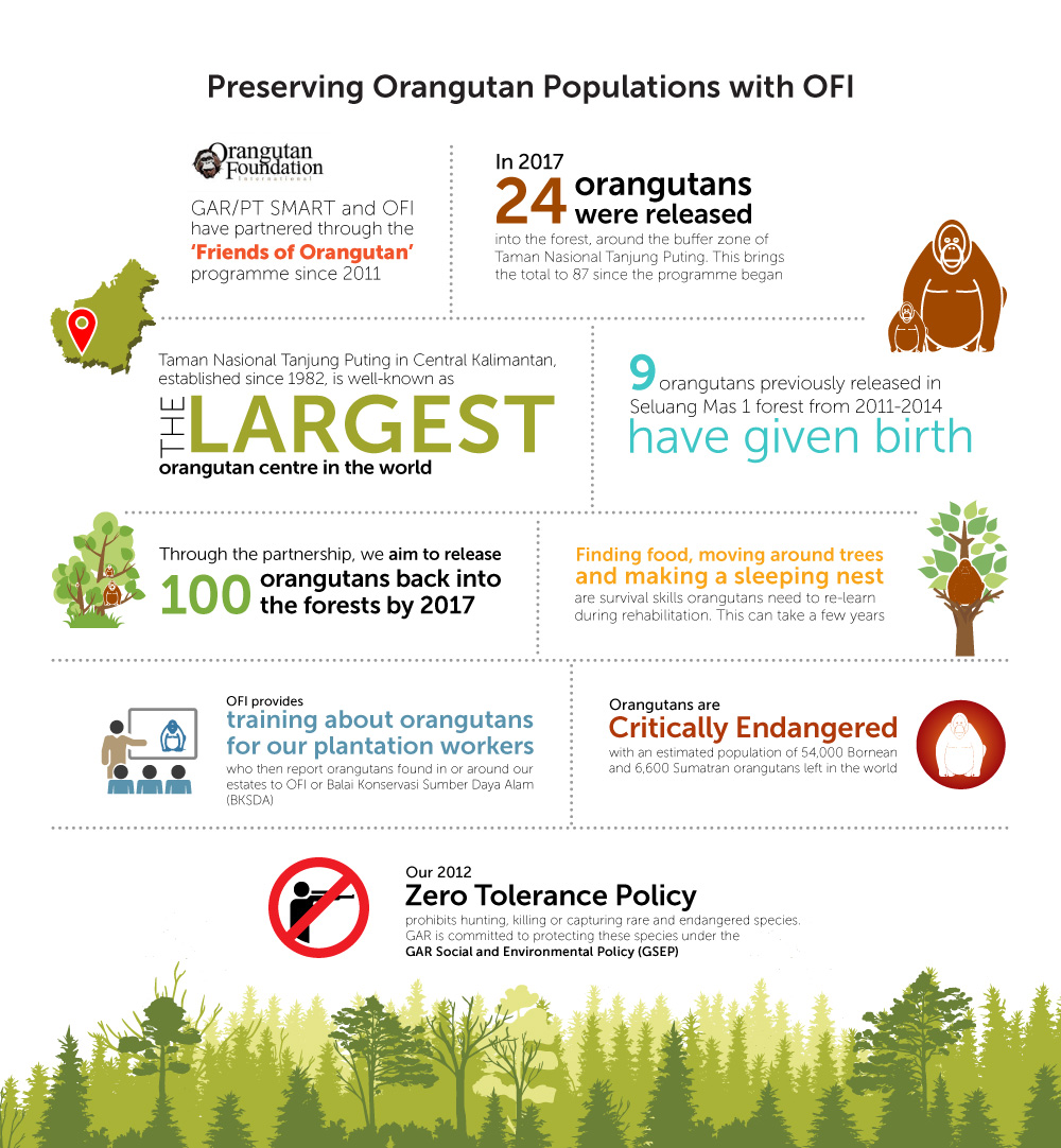 Preserving orangutan populations with OFI