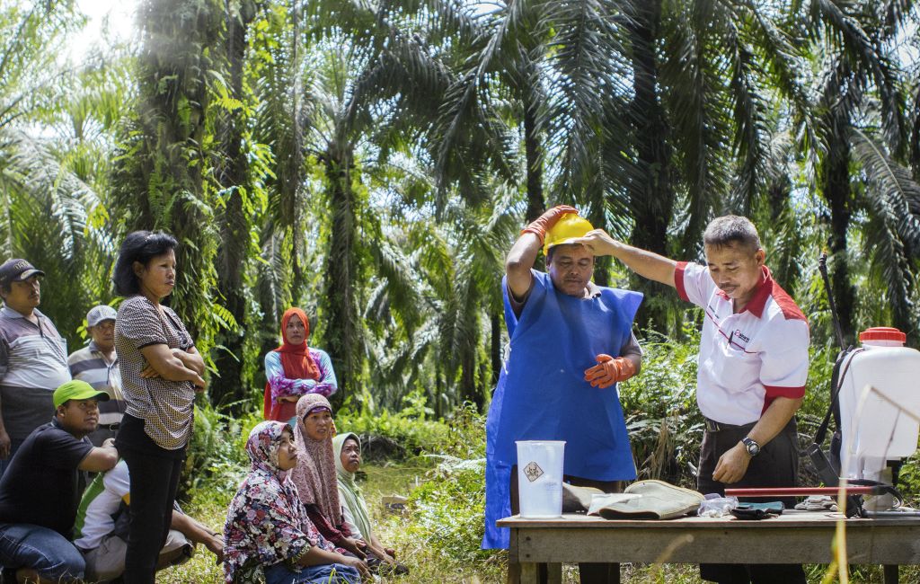 Working towards bumper harvests sustainably