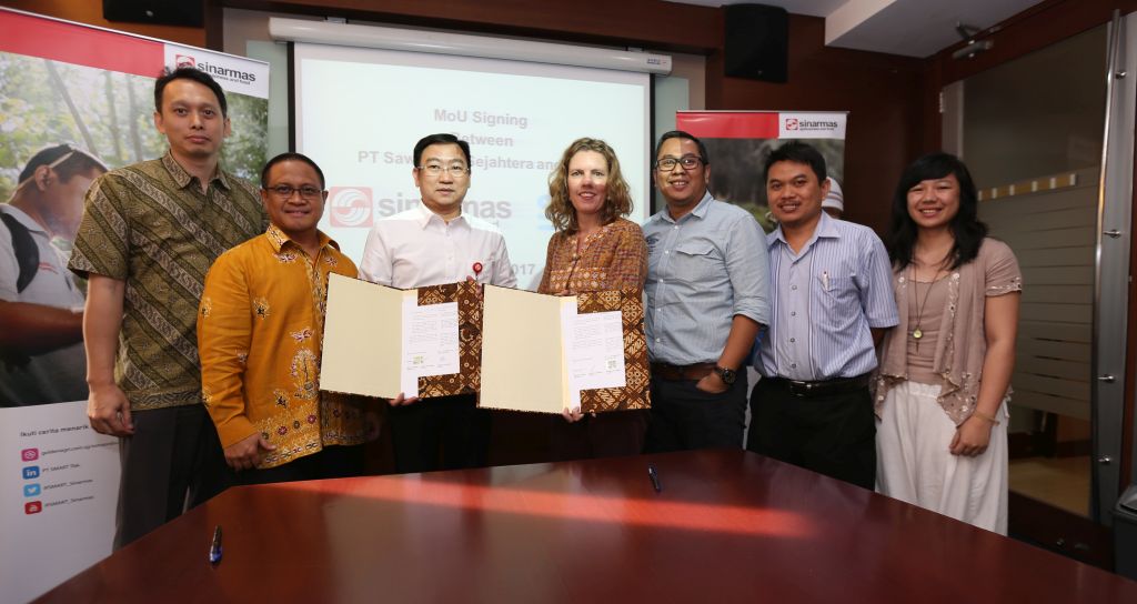 Video: A partnership with SNV to provide support to palm oil smallholders