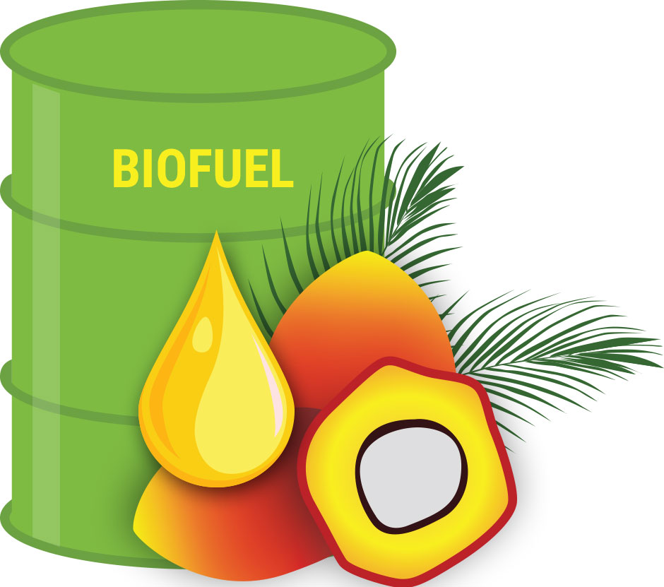 Biofuels – the alternative energy source