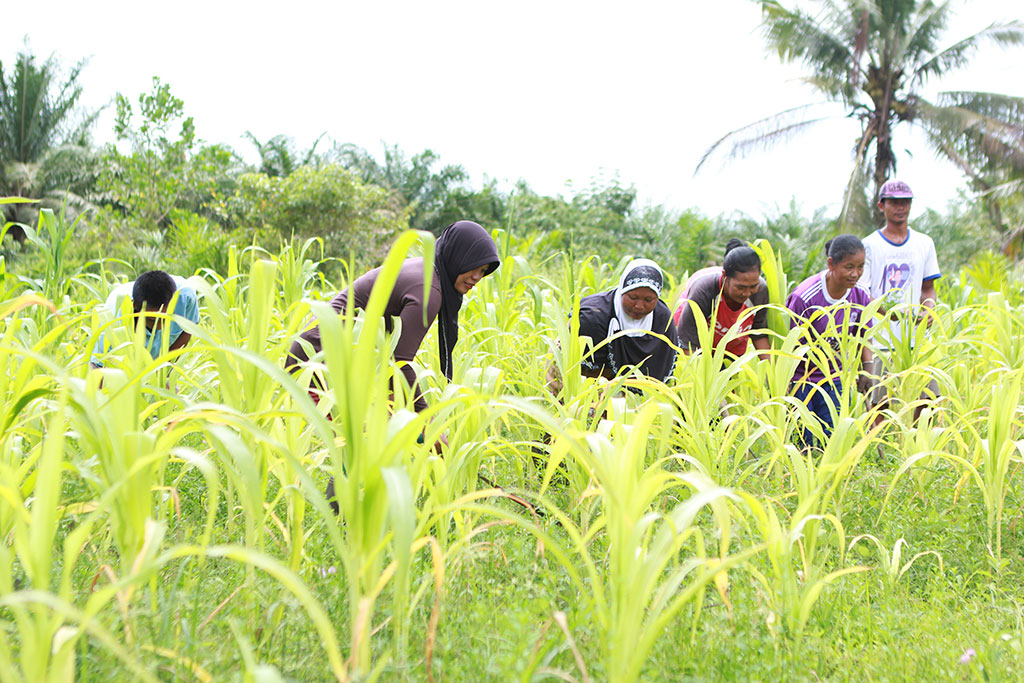 Gender equality in palm oil: Where are we at today?