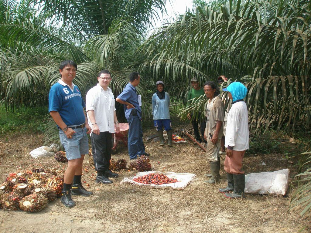 Can the RSPO P&C Review make certification more accessible for smallholders?