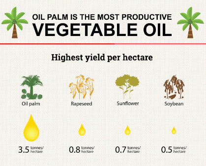 Palm oil’s role in feeding the world