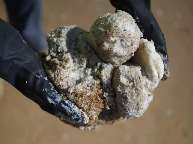 Palm oil bergs. Credit: The Independent / Getty