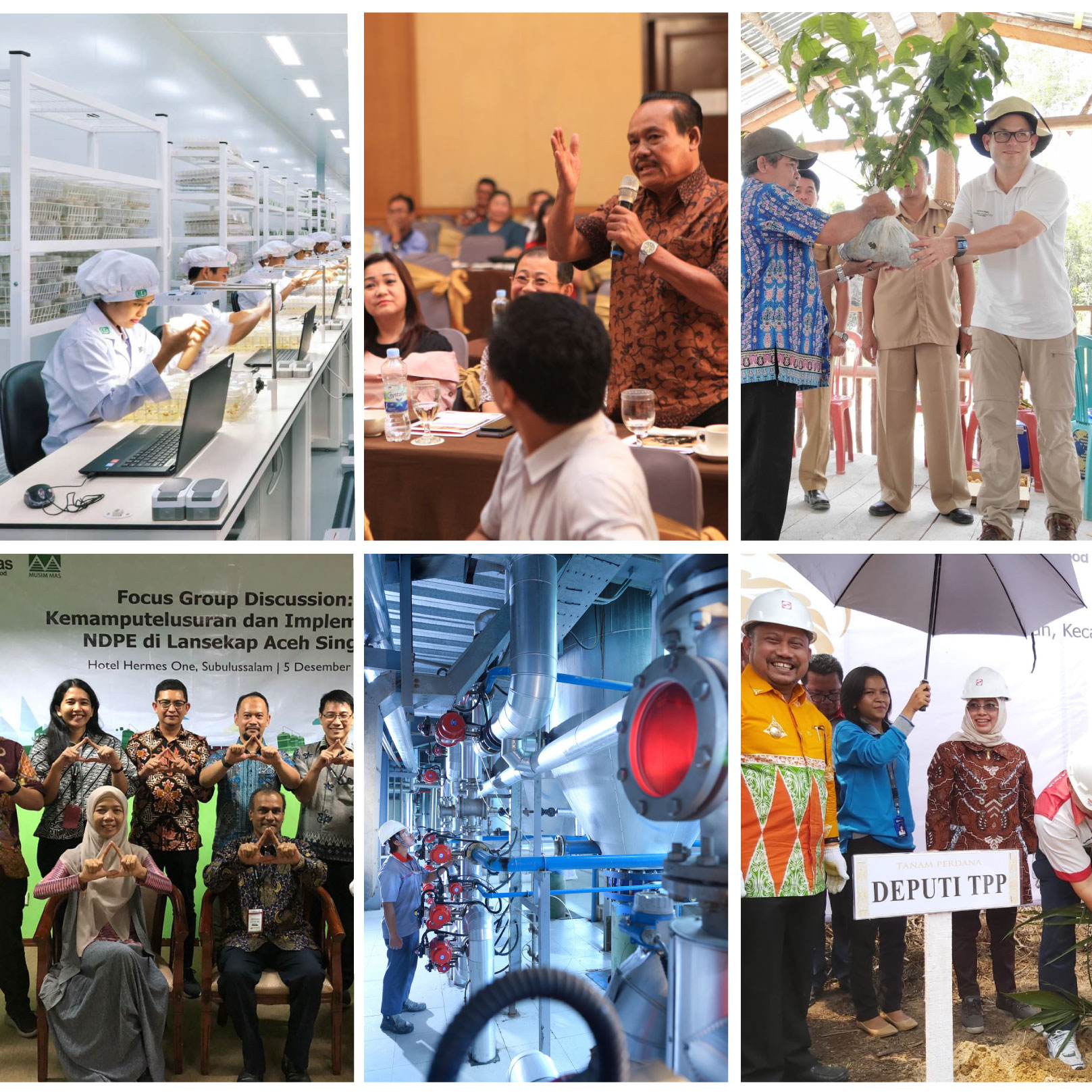 Reflecting on 2019 – valuing progress over perfection in sustainable palm production