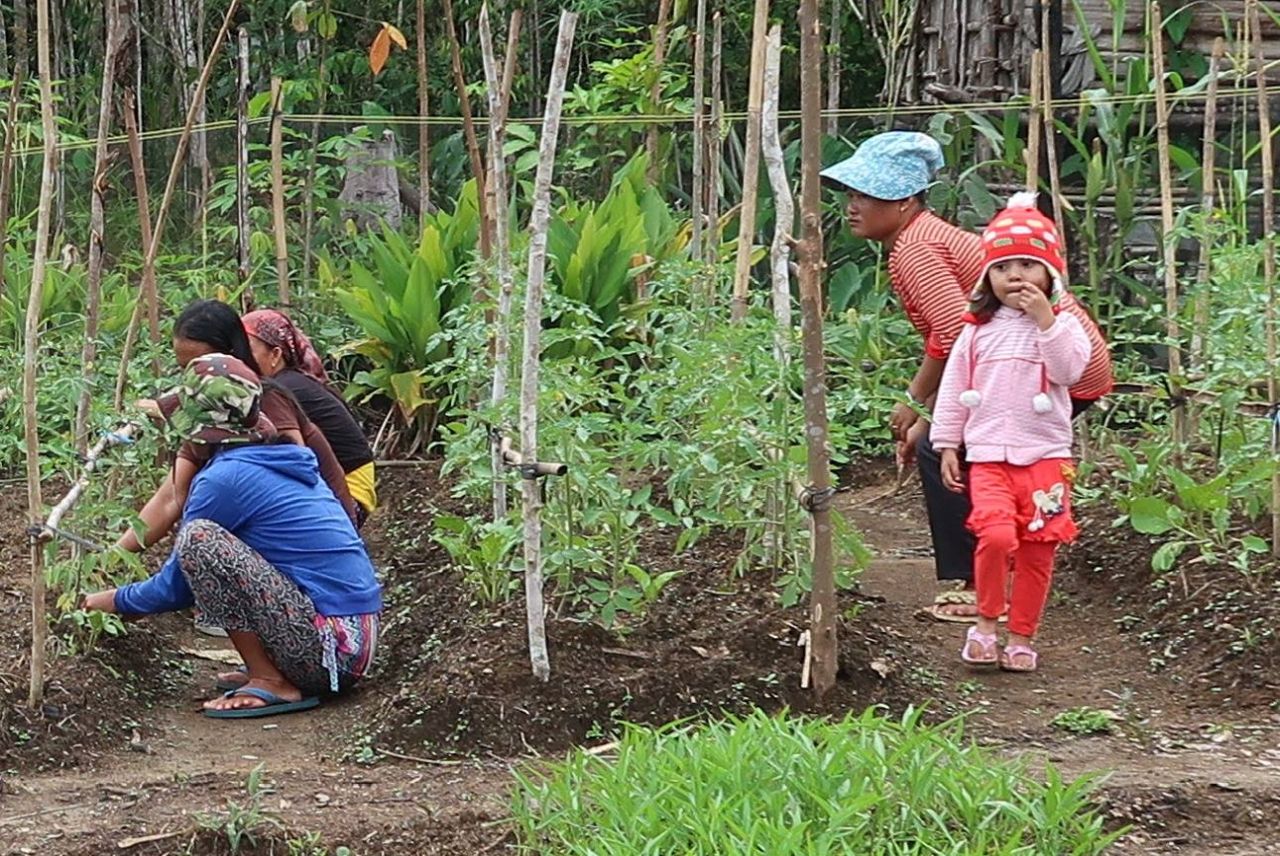 Food security and support for communities in times of a global pandemic