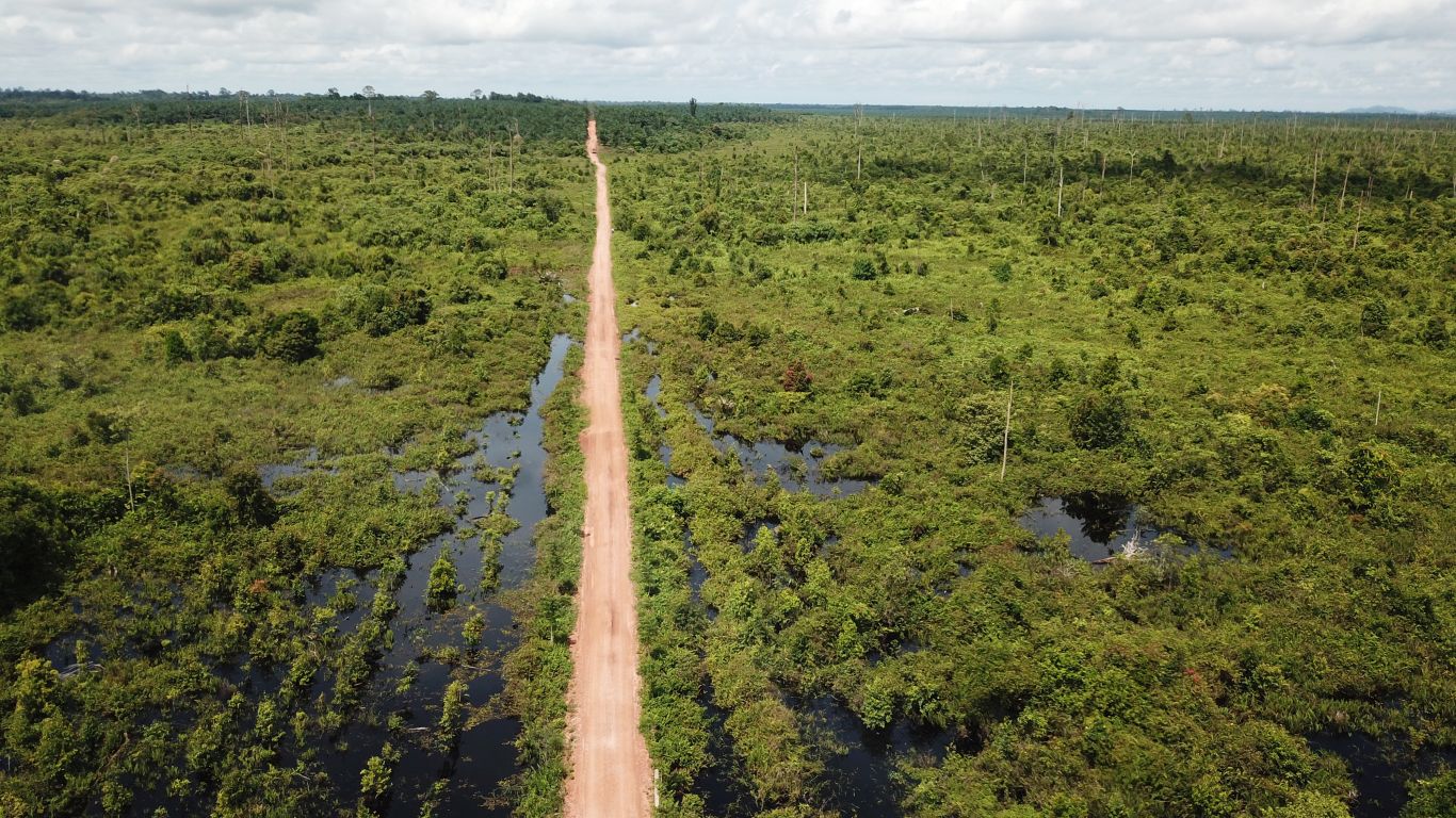 Rehabilitation on its way to keep the peat wet and to minimise GHG emissions