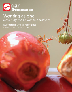 Sustainability Report 2020
