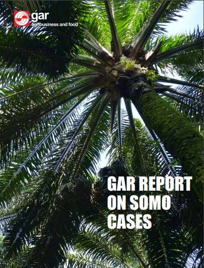 GAR Report on SOMO Cases
