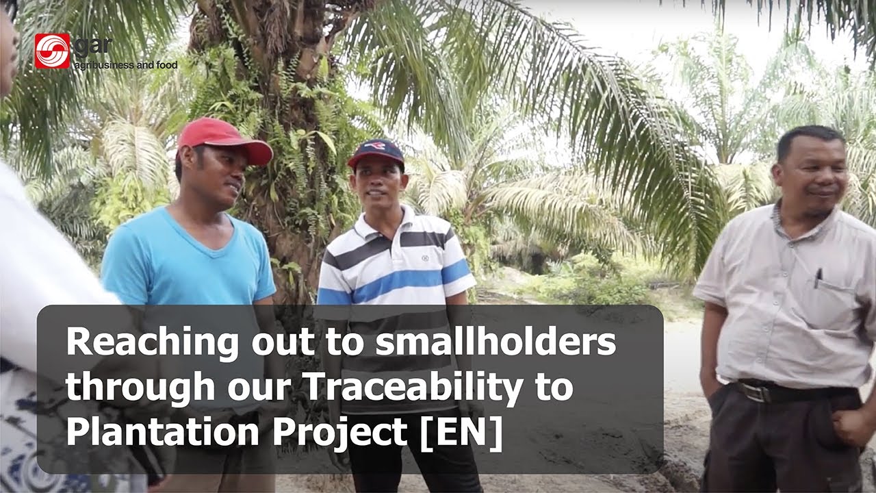 Reaching out to smallholders through our Traceability to Plantation project