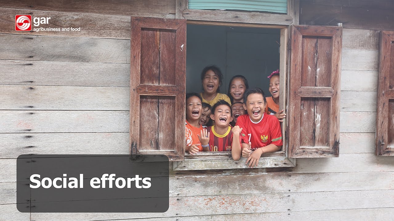 Social Efforts