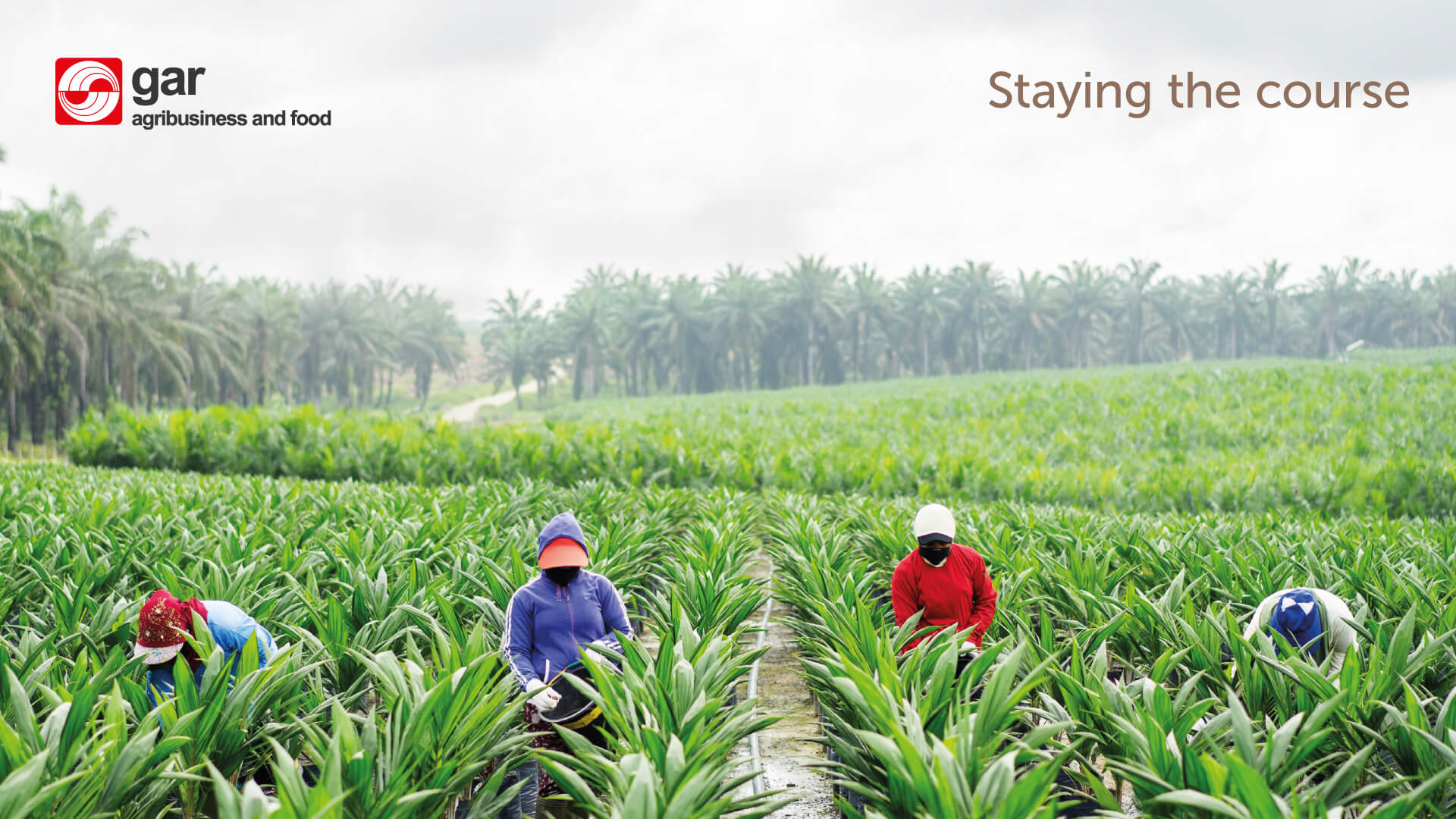 Sustainability Report