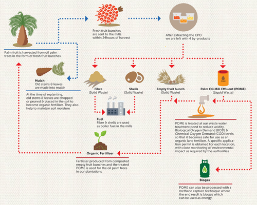 Recycling waste at each CPO production stage