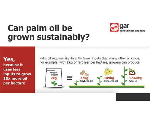 Can palm oil be grown sustainably