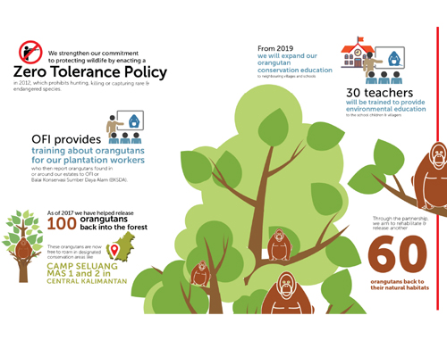 Partnership in orangutan conservation