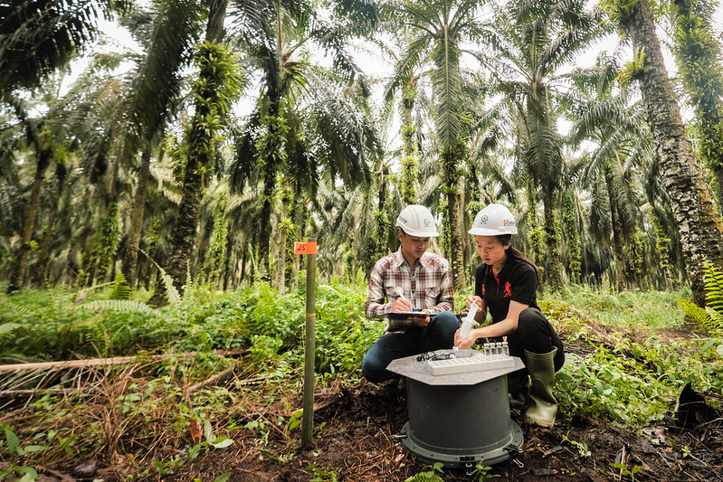 What are the palm oil trends to watch in 2022?