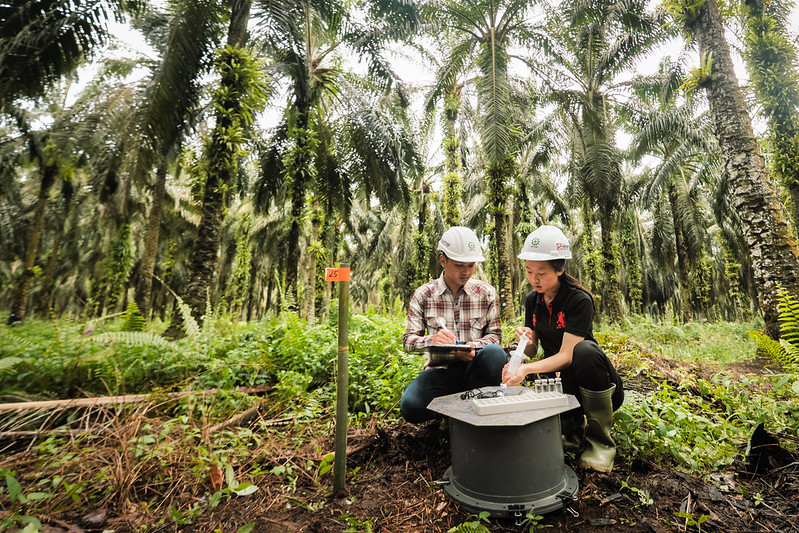 collecting samples