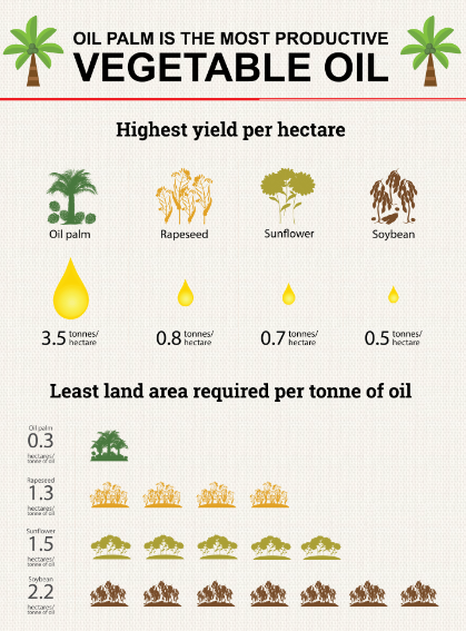 What You Need to Know About Palm Oil