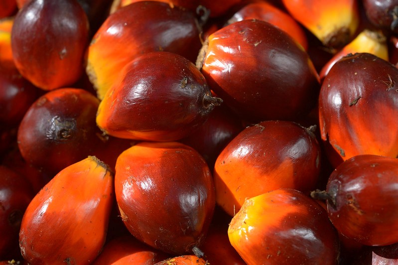 Top five facts about palm oil that you need to know