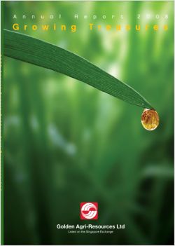 Annual Report 2008