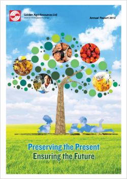 Annual Report 2012