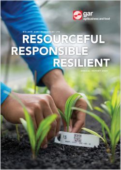 Annual Report 2020