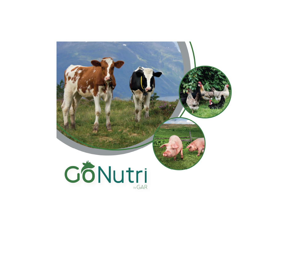 GoNutri Leaflet – German