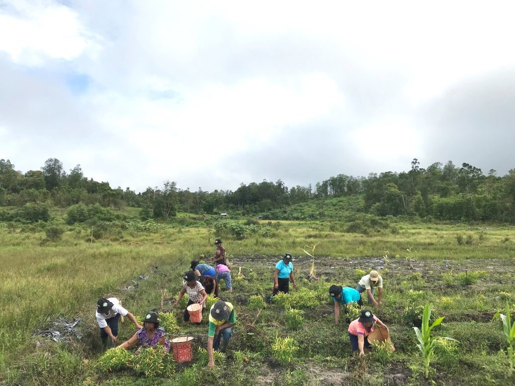 communities-learning-how-to-grow-crops