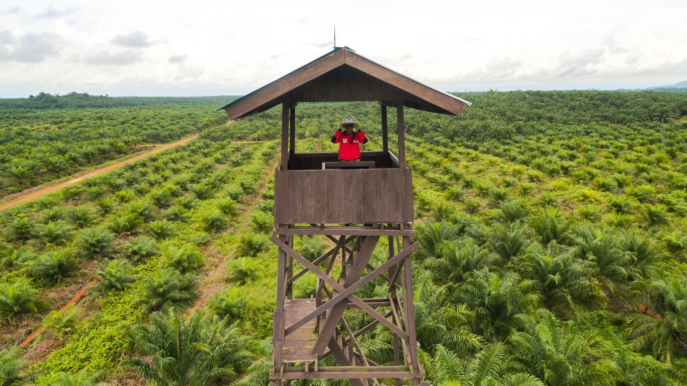 Monitoring tower