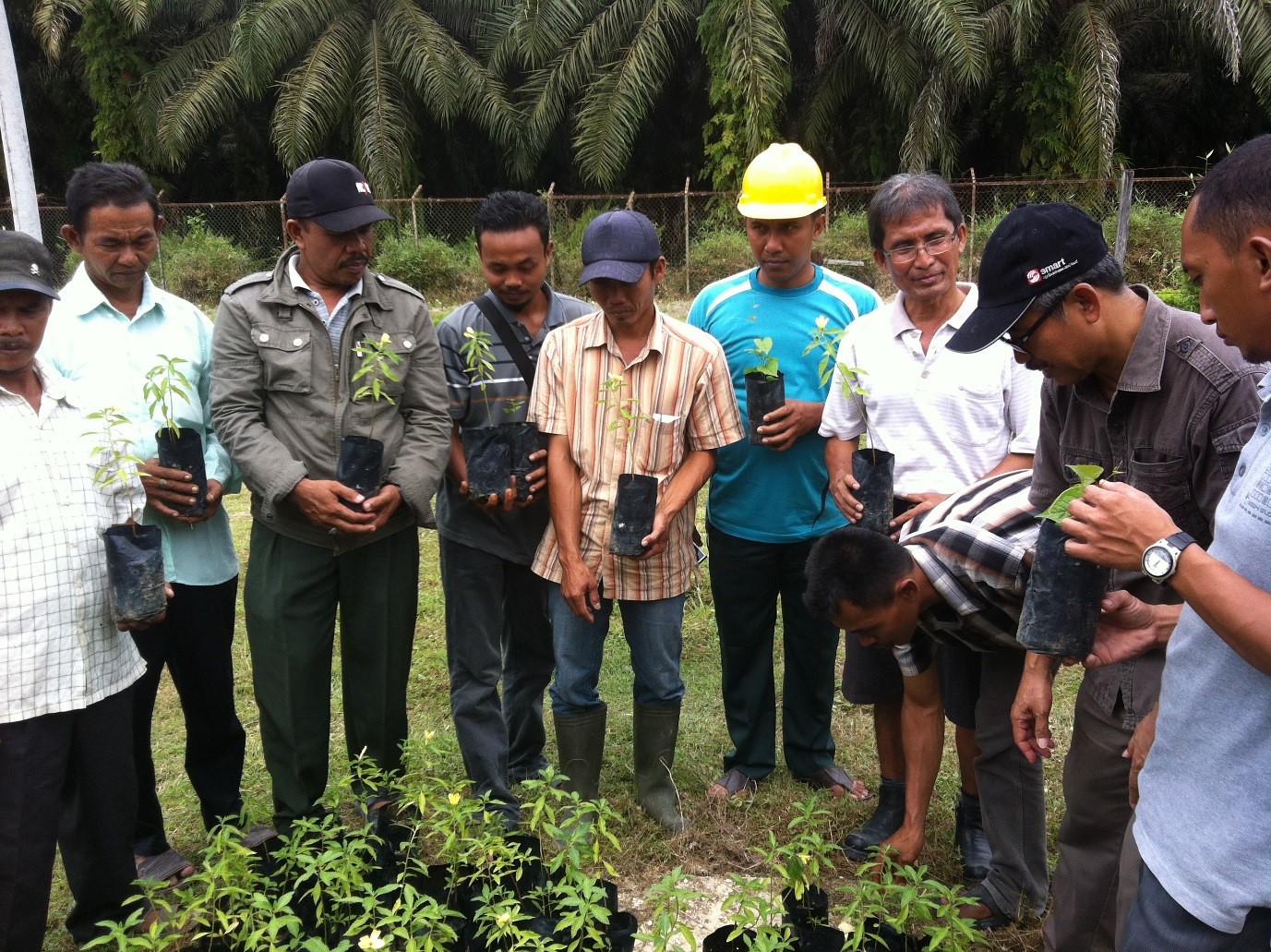 Smallholders