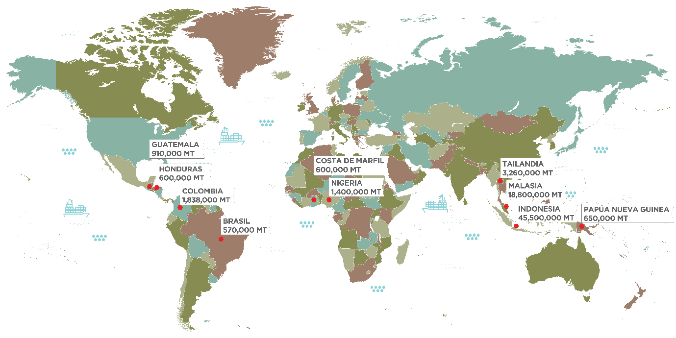 Top palm oil producing countries