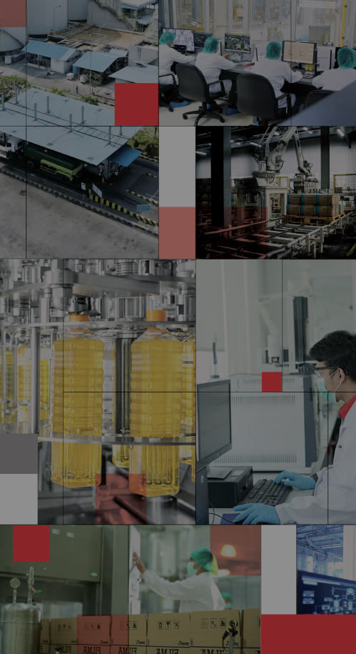 Inteligente, rápido y automatizado: el futuro del procesamiento del aceite de&nbsp;palma