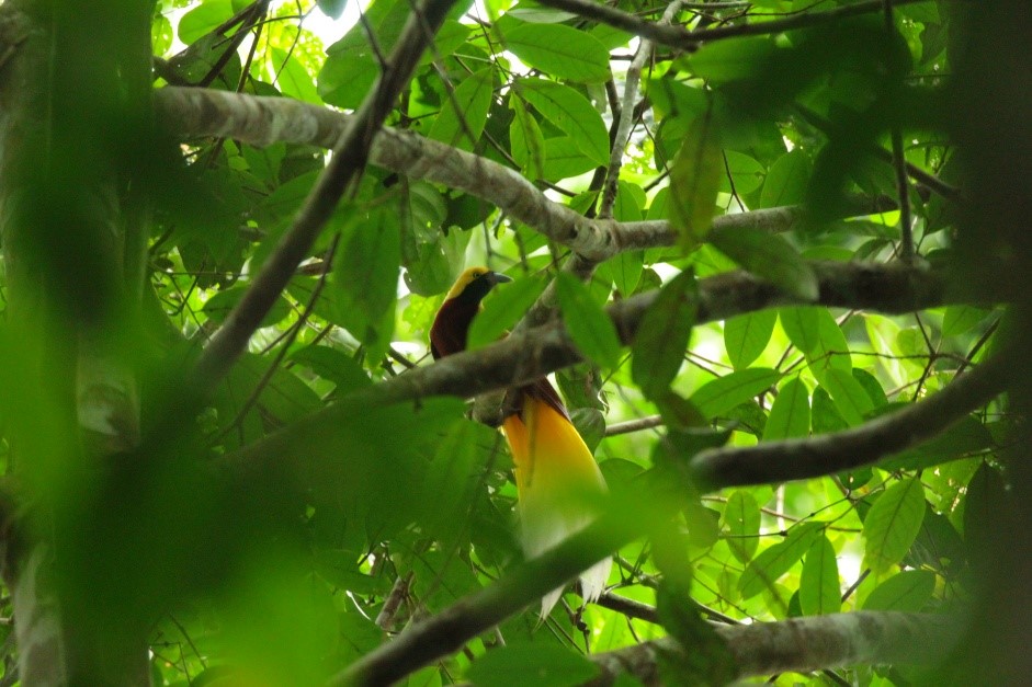 Conservación de la Biodiversidad
